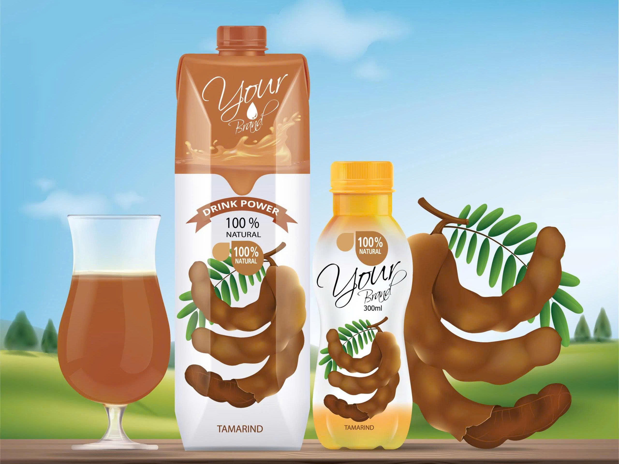 Professional tamarind juice packaging design featuring a 1-liter aseptic carton and a 300ml PET bottle