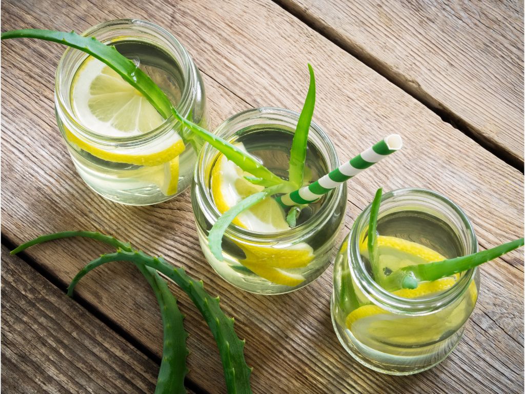 7 Easy Aloe Vera Mocktail Ideas