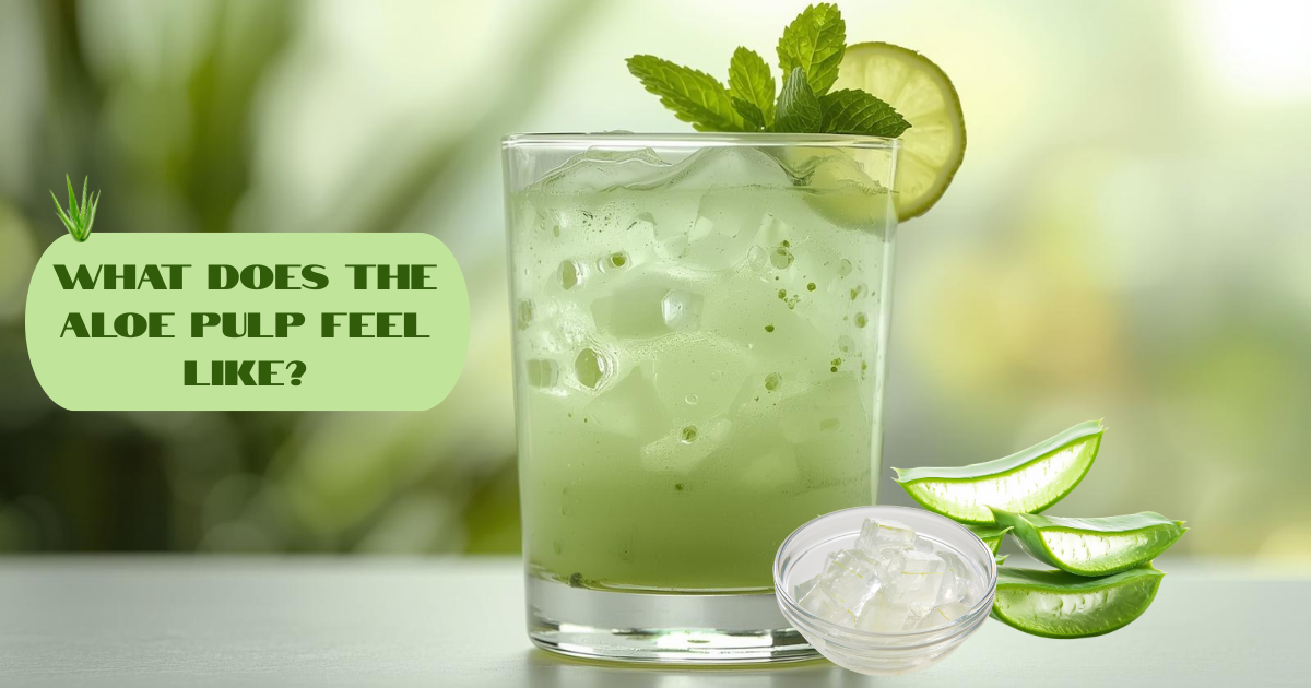 What does the Aloe pulp feel like?