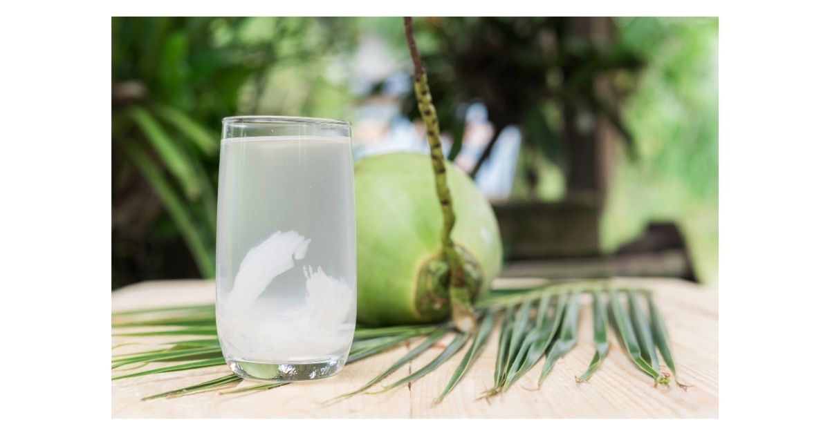 coconut water vs coconut milk
