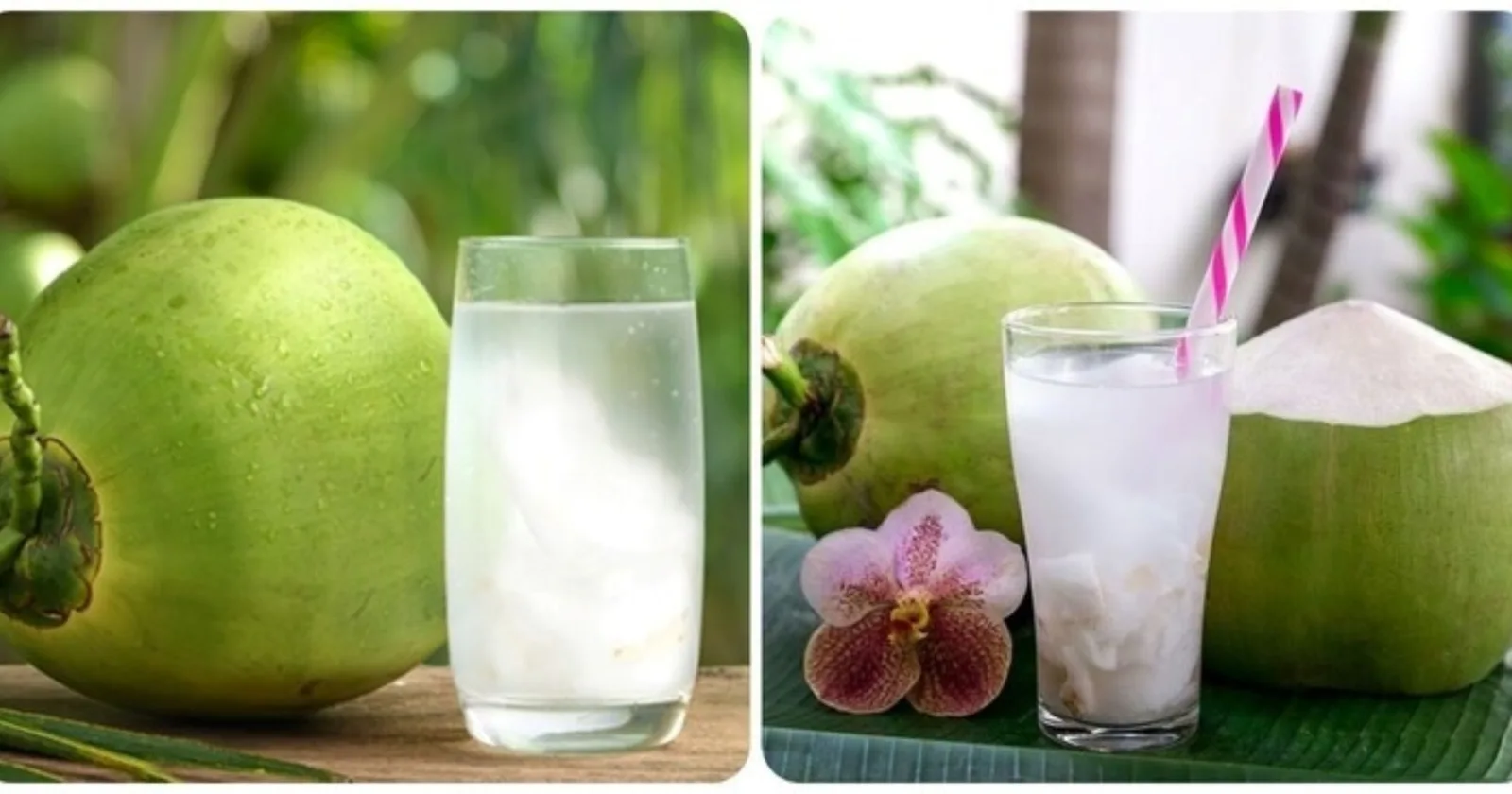 A Fresh Take on Coconut Water