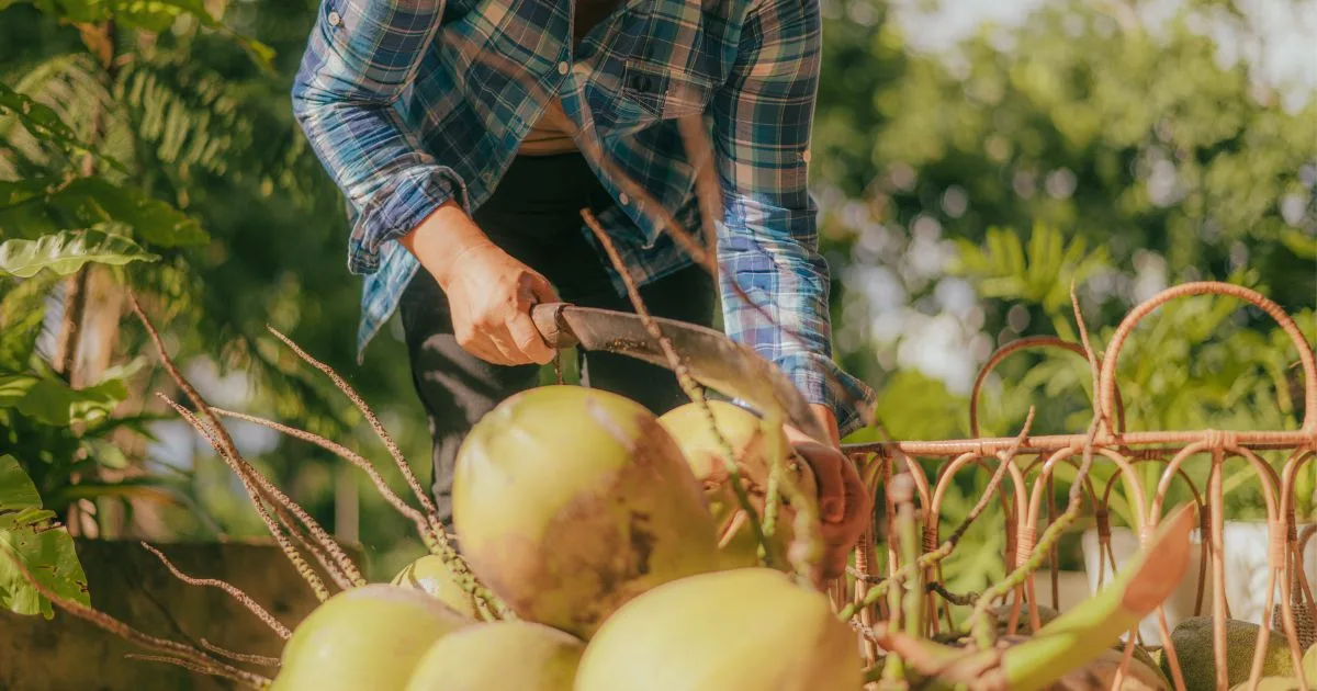 coconut water benefits